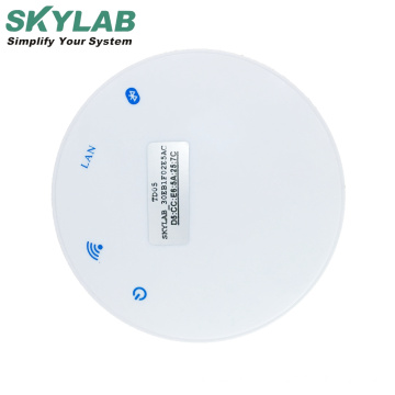 SKYLAB whosale 3g wireless internet sms rf wifi zigbe iot gateway control